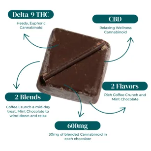 CBD:D9 THC BLEND CHOCOLATE BITES | 20CT | 30MG