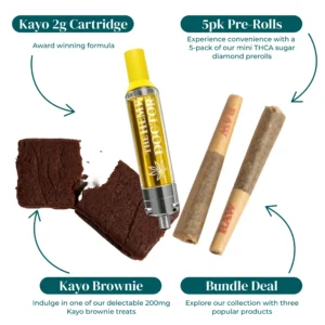 IMAGE INFOGRAPHIC MIX BAGED BUNDLE scaled 1