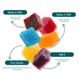 PU GUMMY INFO PU GUMMY INFO