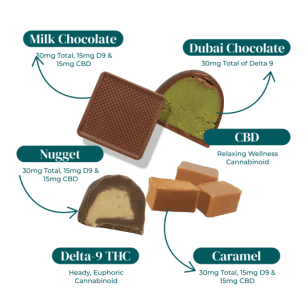 D9 Sweet Sampler Bundle