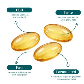RUGER | PET CBD SOFTGEL CAPSULES | 25MG