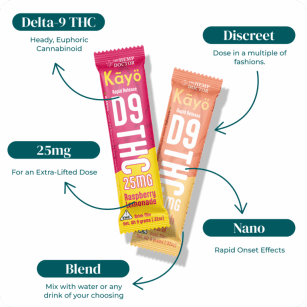 D9 Drink Mix Sampler Bundle