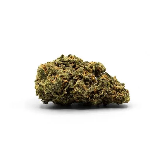 Dense green cannabis bud on white