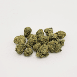 PREMIUM THCA FLOWER | SMALLS | BULK BUDS