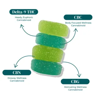 DOWNSHIFT NANO D9 THC BLEND GUMMIES | 12MG