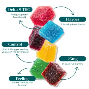 DELTA 9 THC GUMMY SAMPLER BUNDLE | 25MG