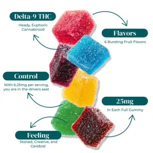 DELTA 9 THC GUMMIES | 25MG