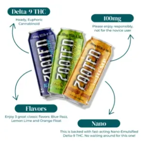 ZOOTED DELTA 9 THC SELTZER 100MG INFOGRAPHIC