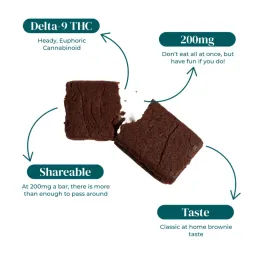 KAYO | DELTA 9 THC BROWNIES