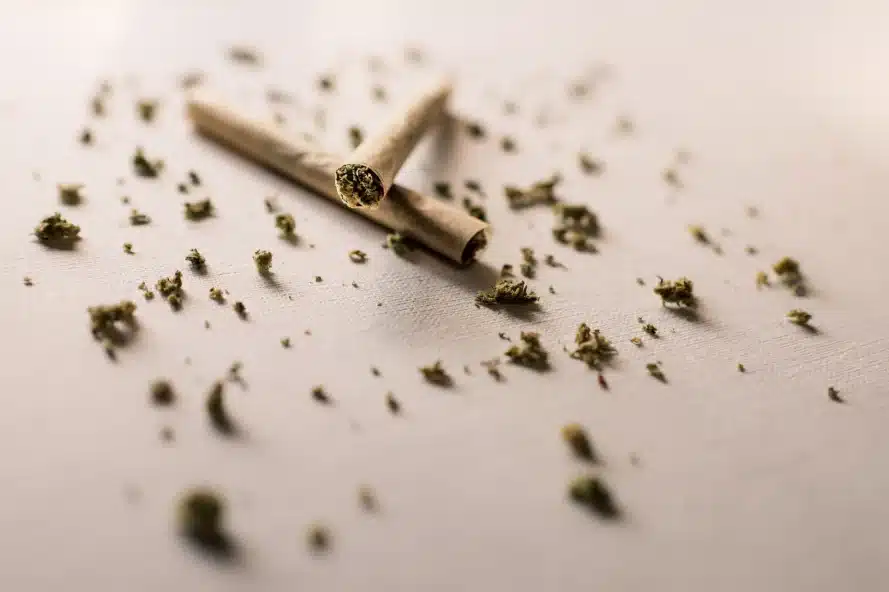 where is the best tobacco grown where does tobacco grow best Tobacco in Virginia where is the best tobacco grown where does tobacco grow best Tobacco in Virginia