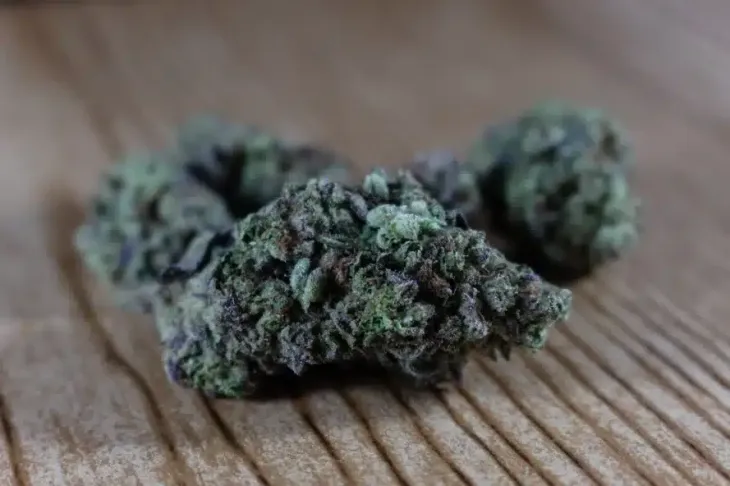 Close-up of green cannabis buds