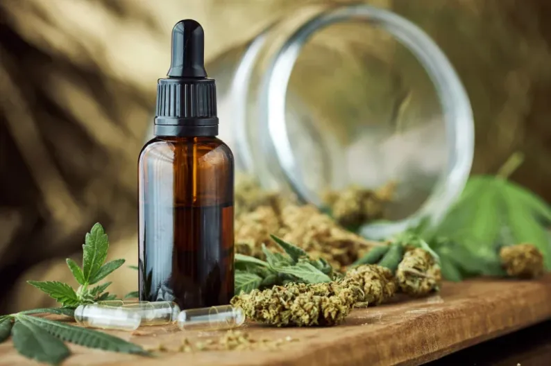 a bottle of CBD oil next to some weed