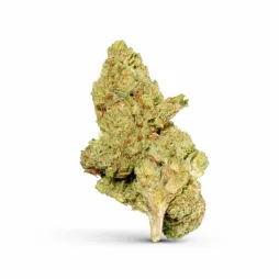 3.5G PREMIUM THCA FLOWER | ROTATING STRAINS
