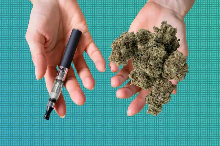 Hands holding cannabis and vape pen